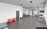 visualization-gym-2