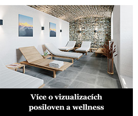 Více o vizualizacích posiloven a wellness